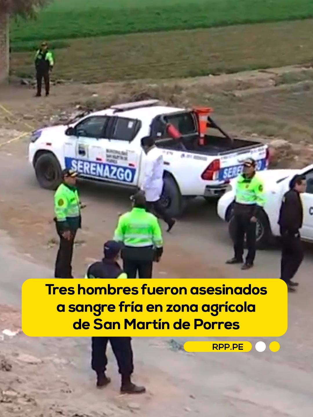 Tres hombres fueron asesinados a sangre fría en zona agrícola de SMP